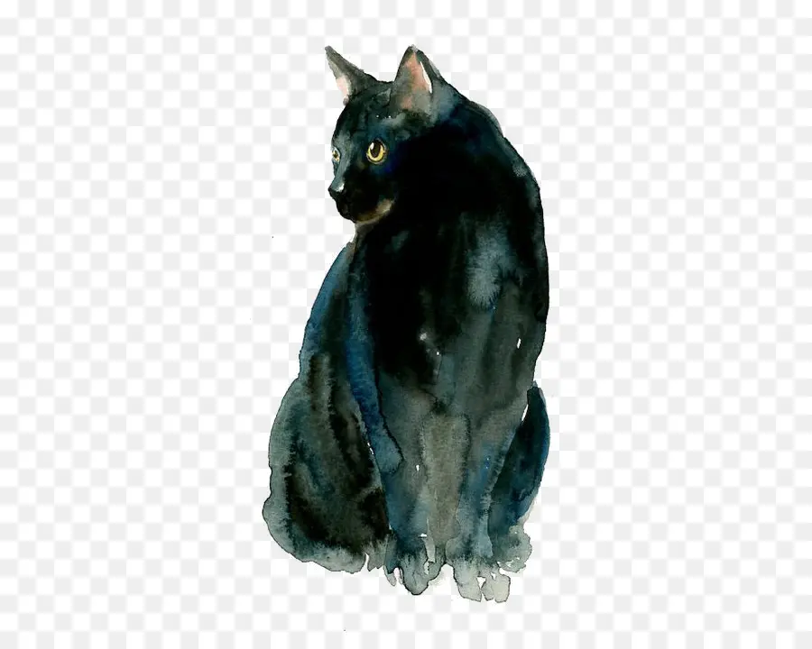 Gato Preto，Siamese Cat PNG