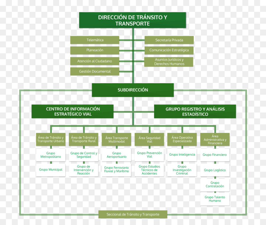 Gráfico Organizacional，Organização PNG