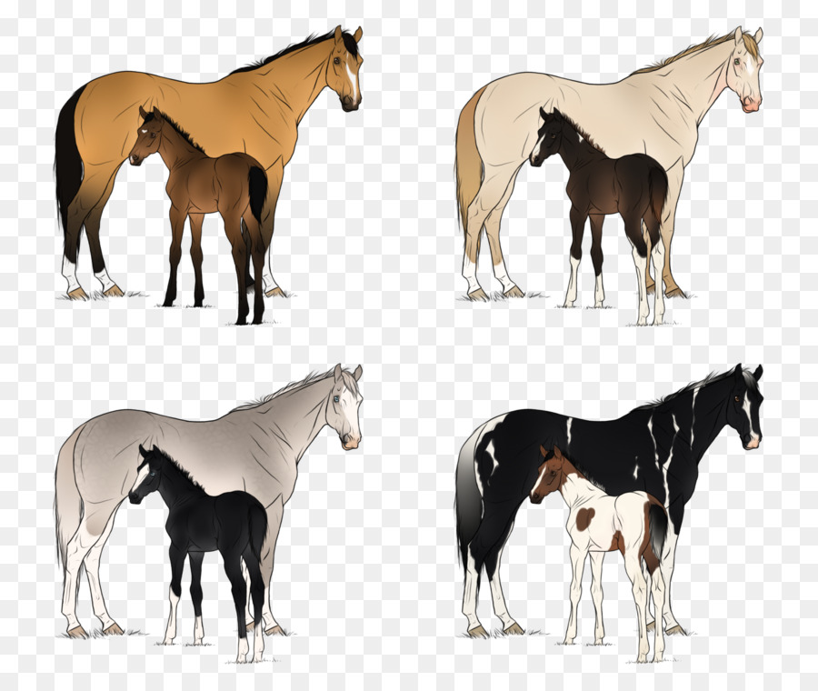 Cavalos，Cavalo PNG