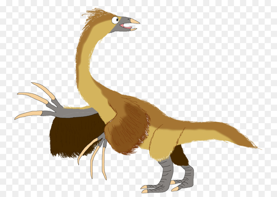 Anatidae，Velociraptor PNG