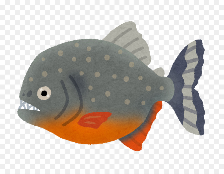 Peixe De Desenho Animado，Peixe PNG