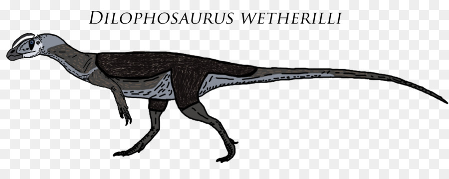 Dilophosaurus，Sinemurian PNG