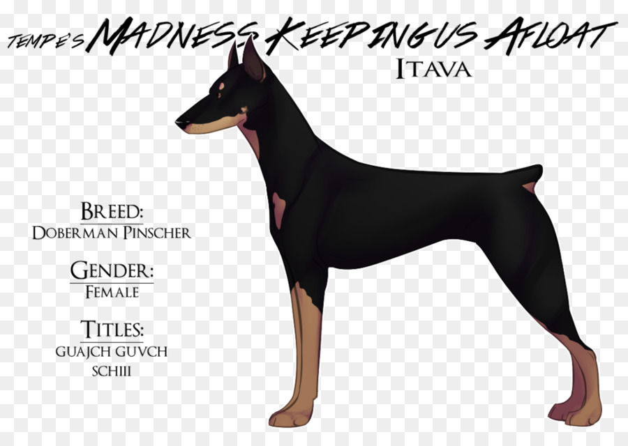 Dobermann，Alemão Pinscher PNG