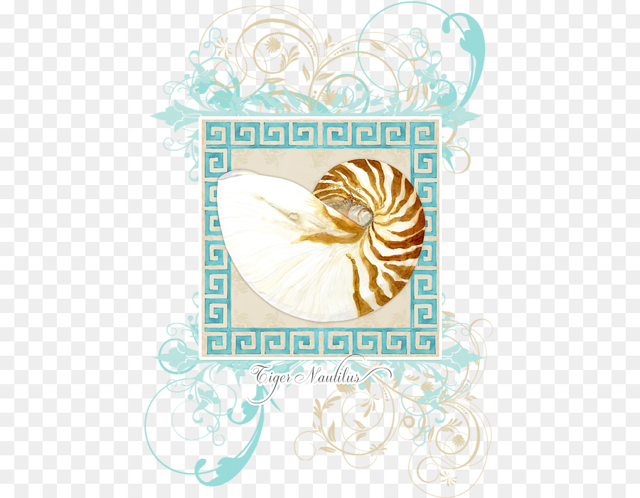 Seashell，Nautilidae PNG