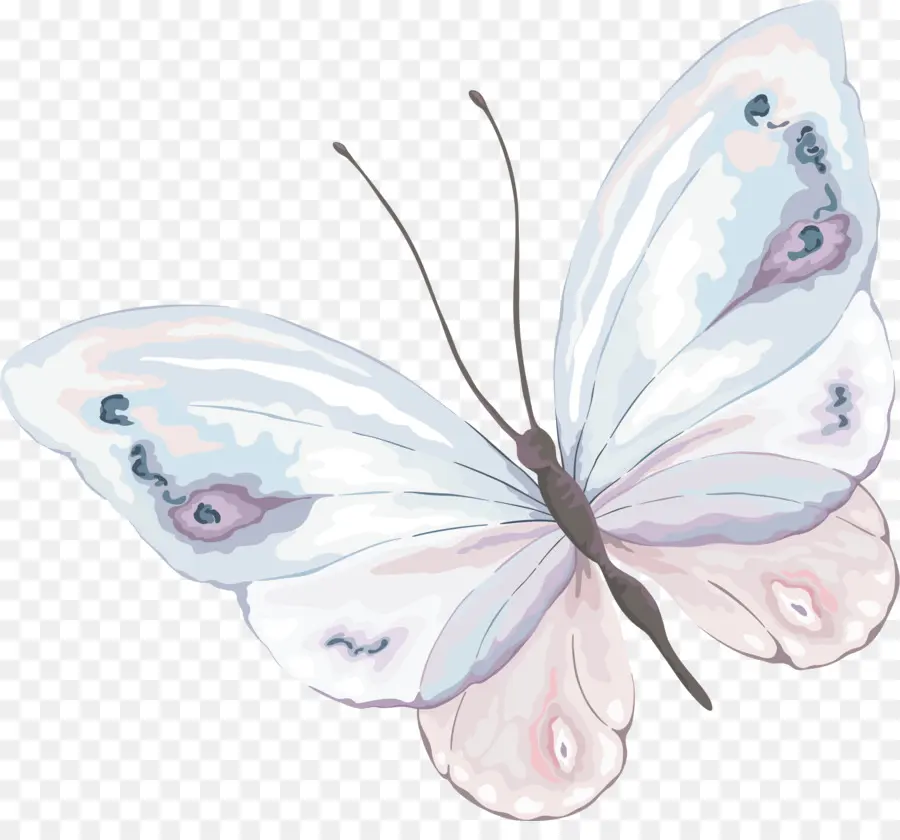 Pintura Em Aquarela，Borboleta PNG