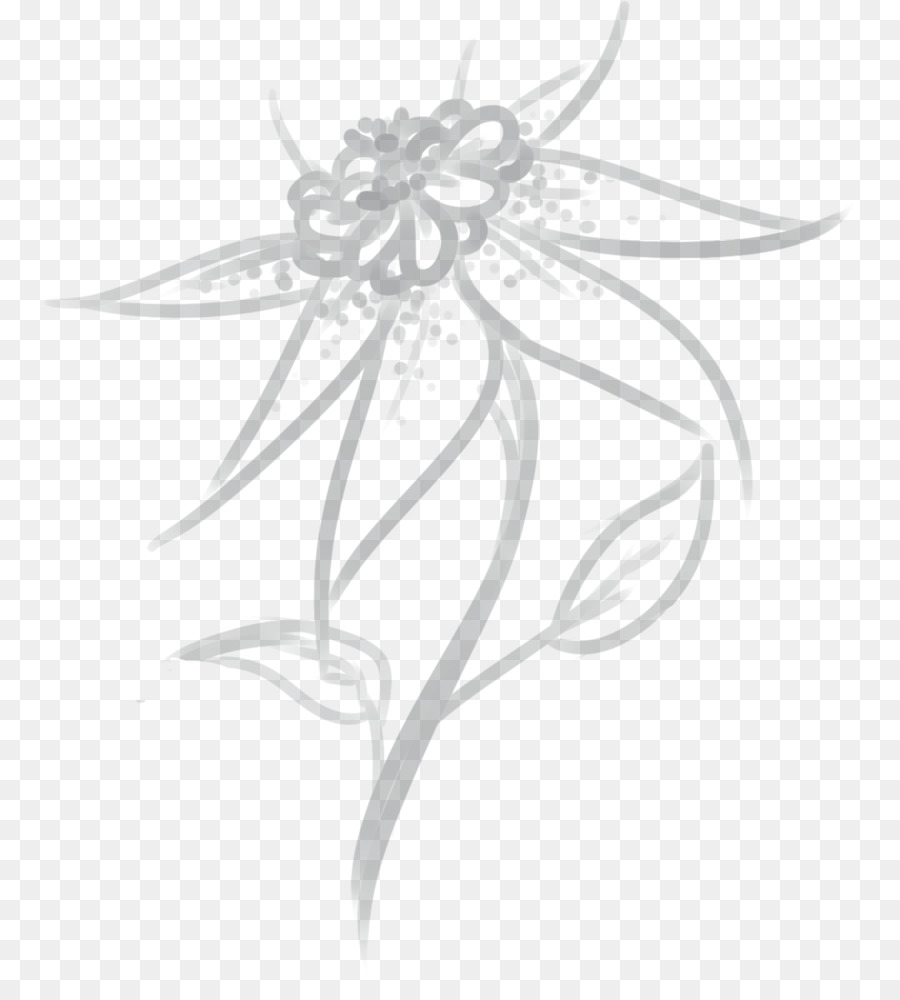 Design Floral，Desenho PNG