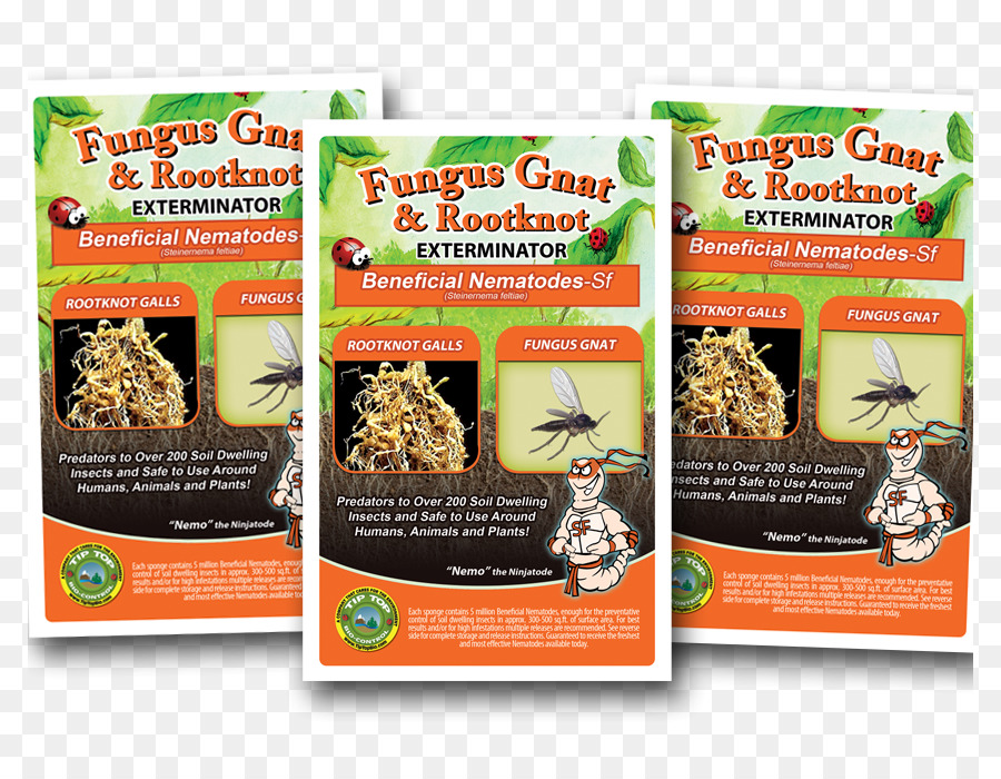Fungus Gnat，O Celestia PNG