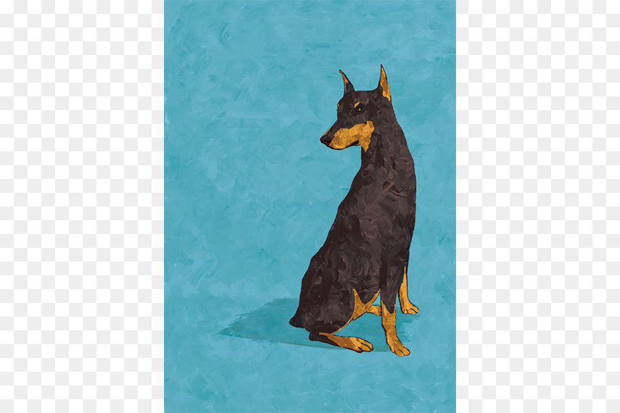 Ormskirk Terrier，O Manchester Terrier PNG