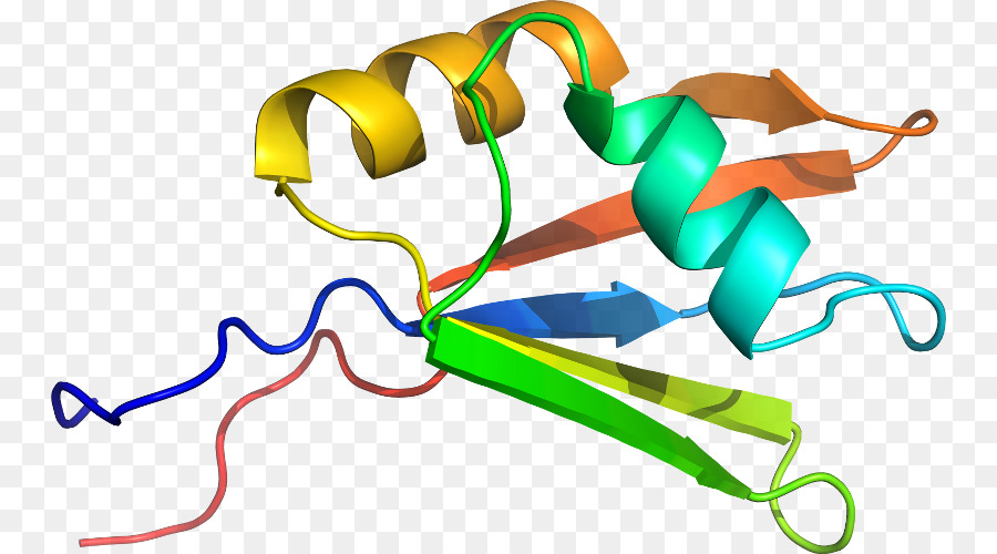 Hélice De Proteína，Molécula PNG