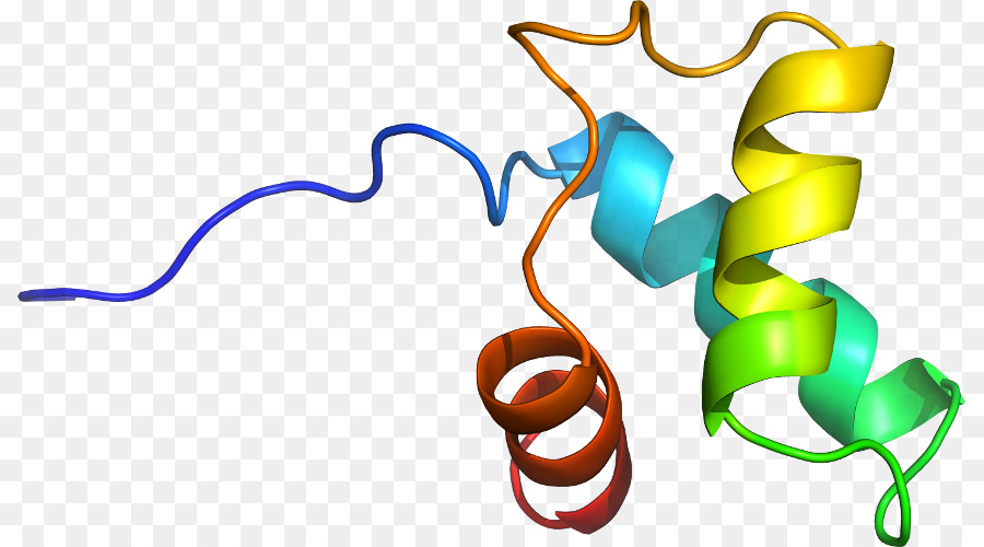 Hélice De Proteína，Molécula PNG