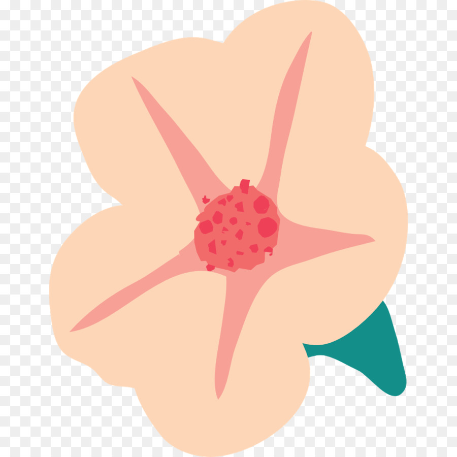 Rosa M，A Floração Da Planta PNG