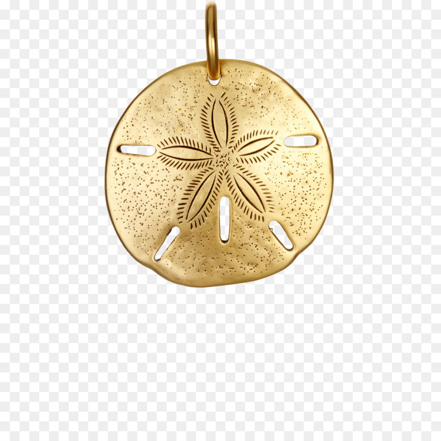 Medalhão，Bronze PNG