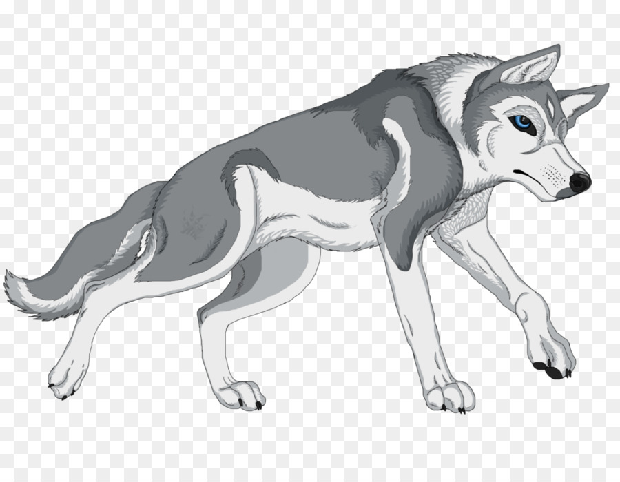 Lobo，Canino PNG