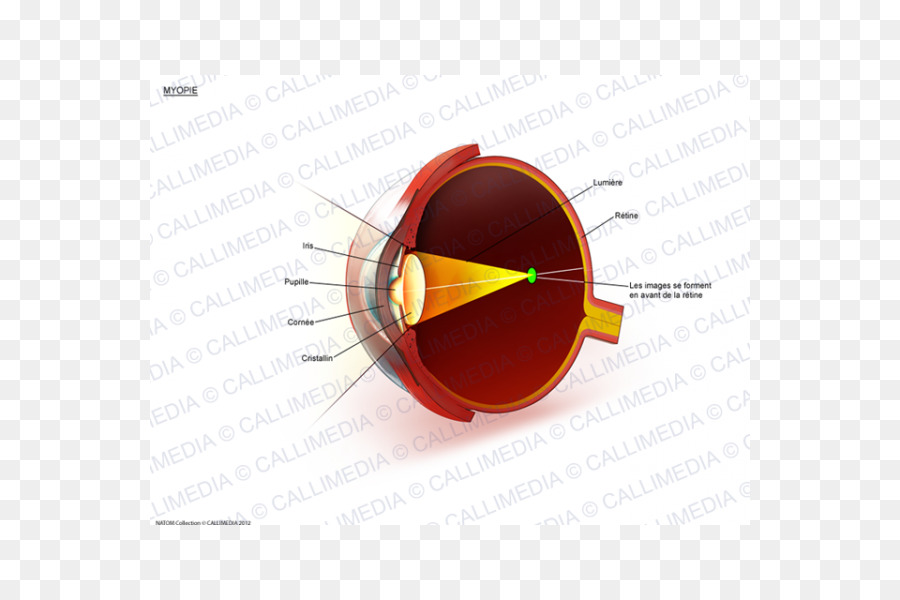 Diagrama De Olho，Olho PNG