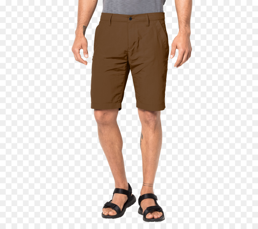 Bermuda Shorts，Shorts PNG