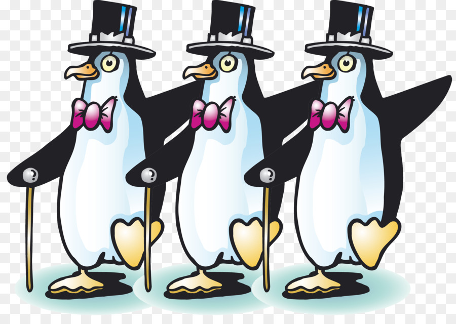 Penguin，Razorbills PNG