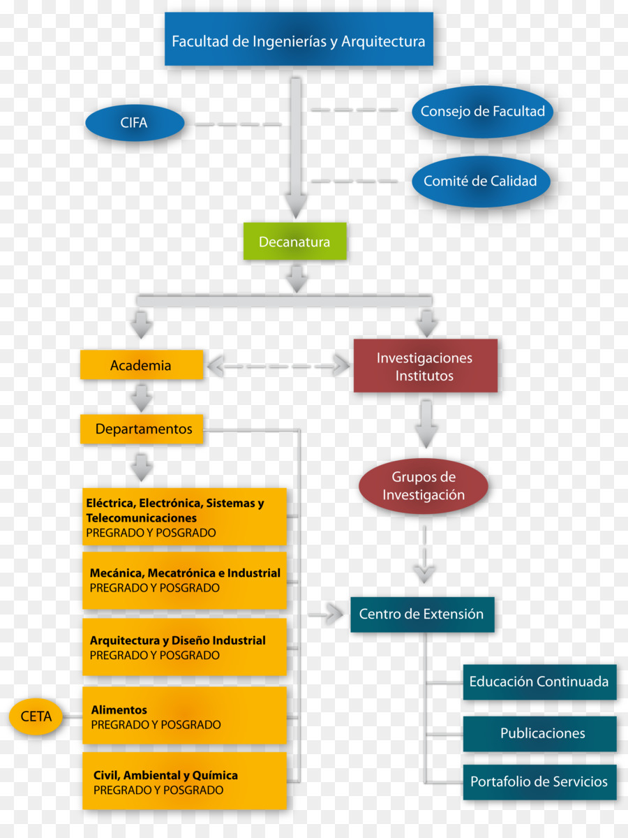 Gráfico Organizacional，Organização PNG