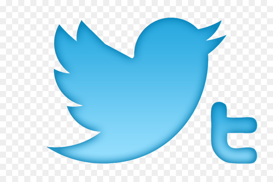 Logotipo Azul Do Twitter，Mídias Sociais PNG