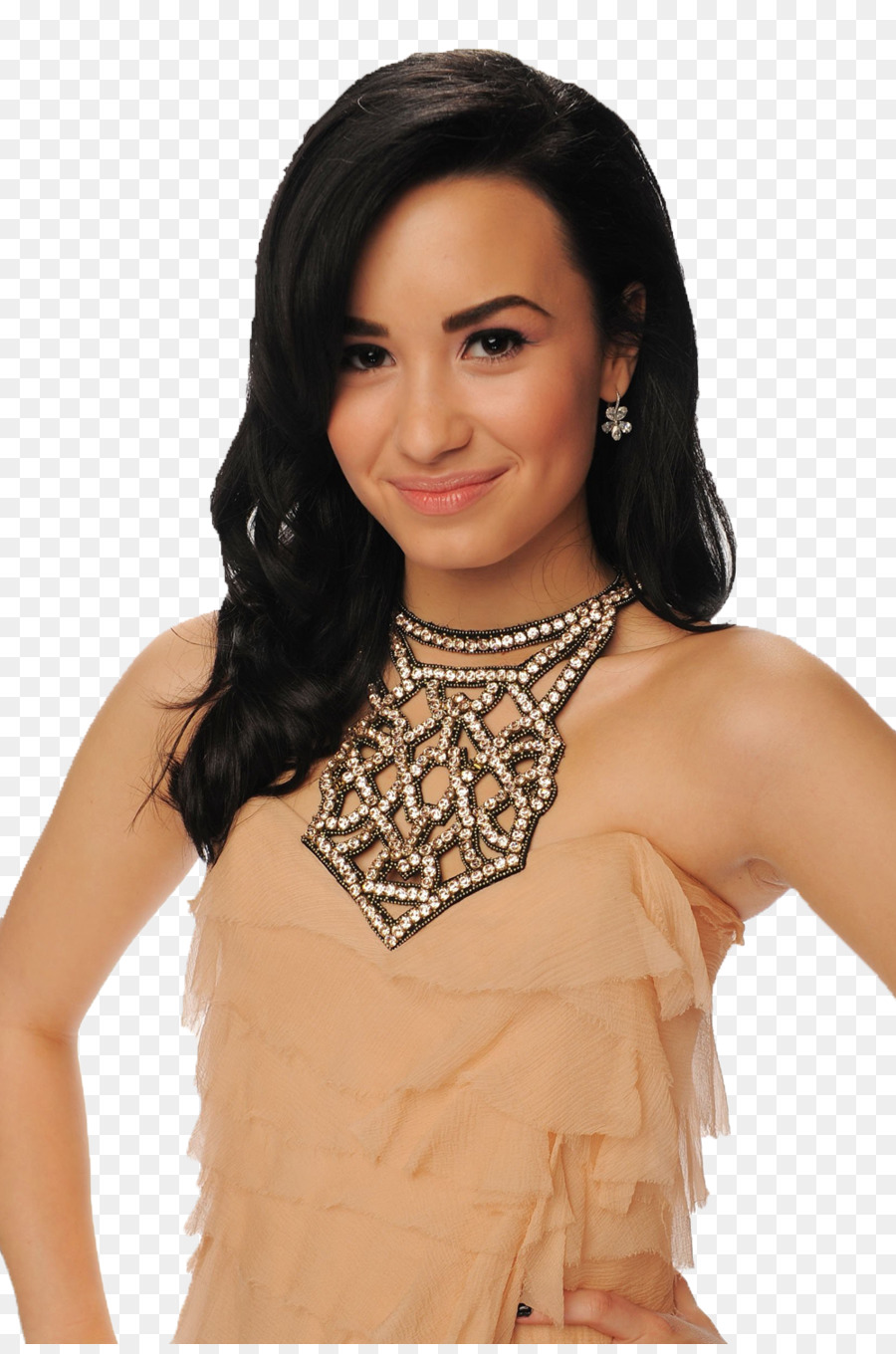 Demi Lovato，Demi PNG