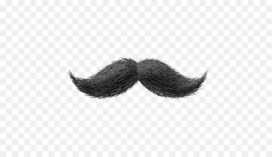 Bigode，Preto PNG