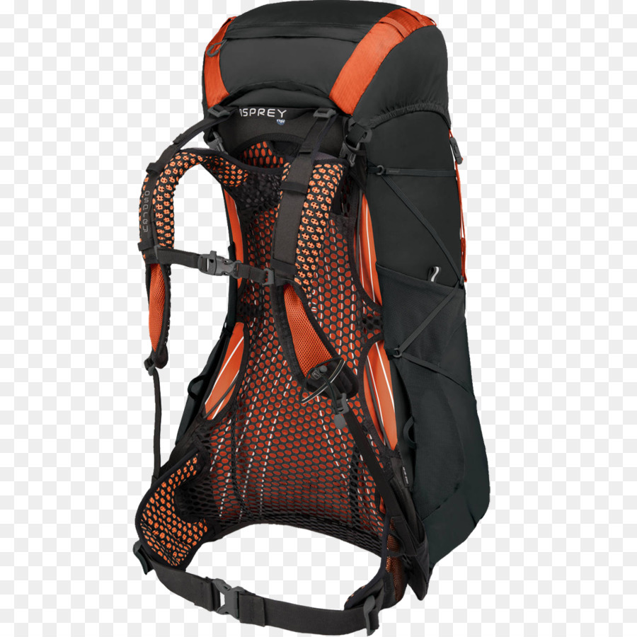 A águia Pesqueira，Mochila PNG