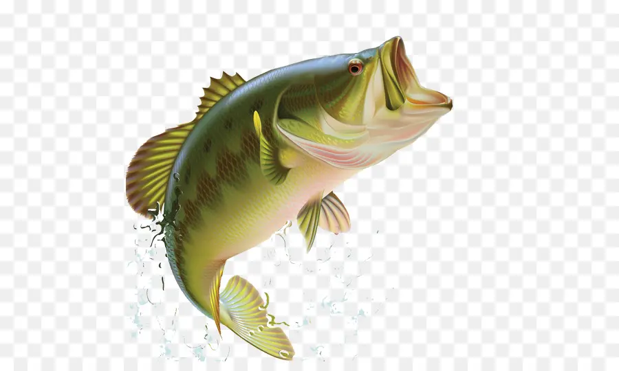 Peixe，Pesca PNG