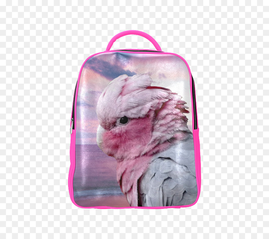 Iphone 6，Galah PNG