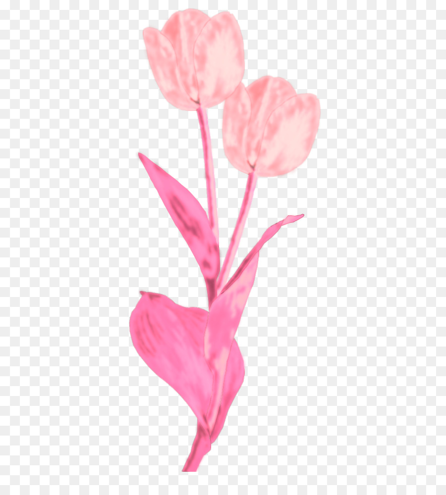 Flores Cor De Rosa，Florescer PNG