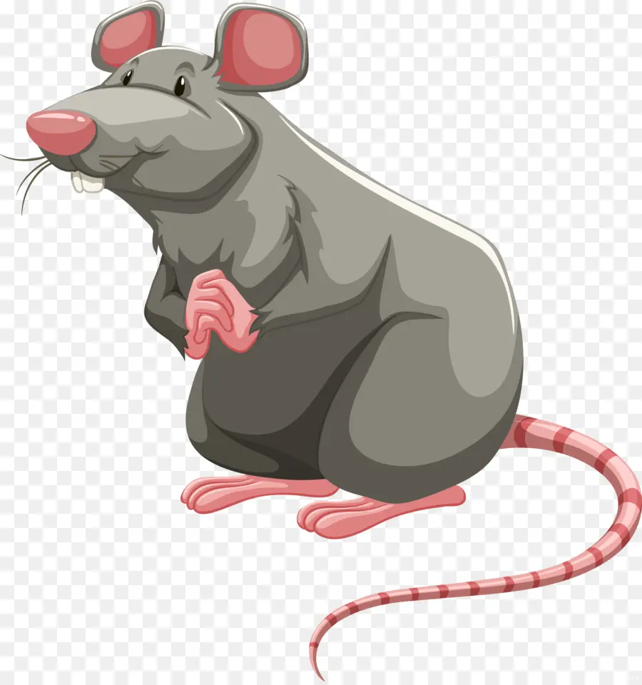 Laboratório De Ratos，Marrom De Ratos PNG