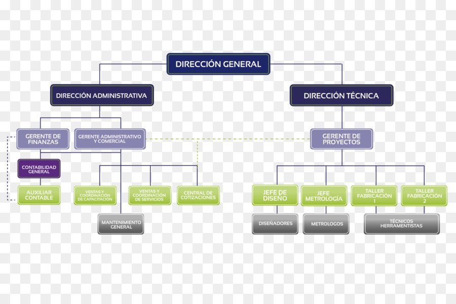 Organograma，Organização PNG