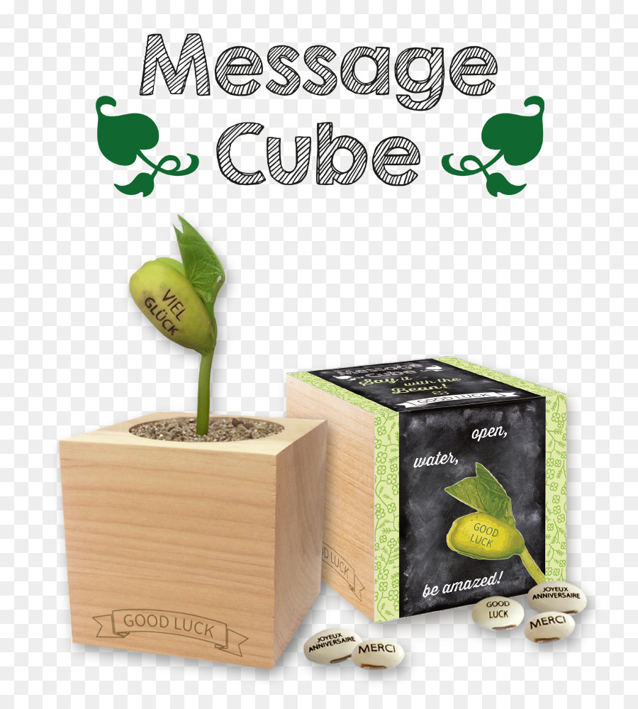 Cubo，Flowerpot PNG