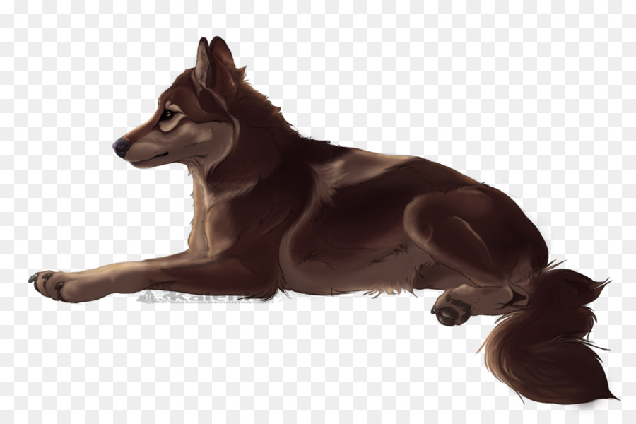 Saarloos Wolfdog，Kelpie Australiano PNG