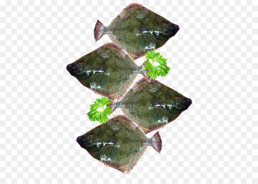 Solha，Peixe PNG