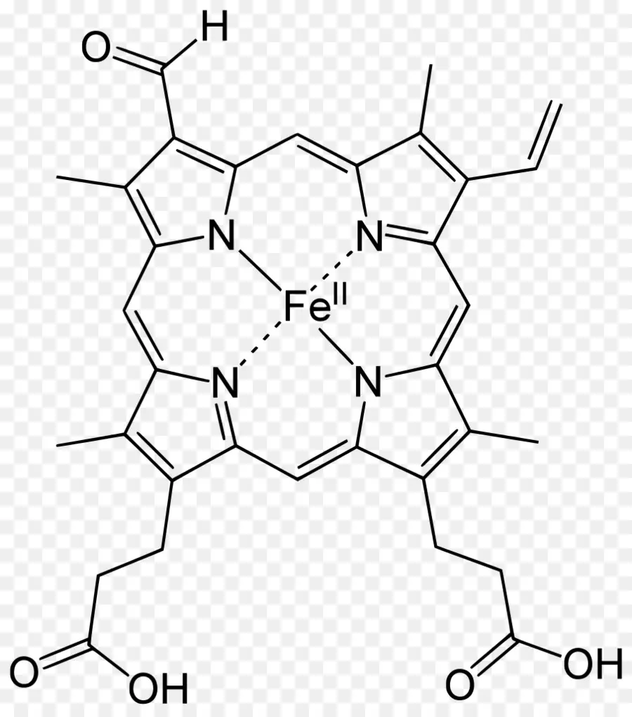 Estrutura Química，Molécula PNG