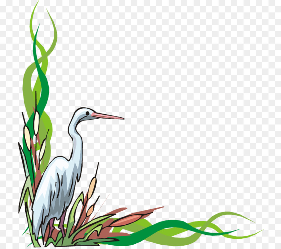 Heron，Cegonha PNG