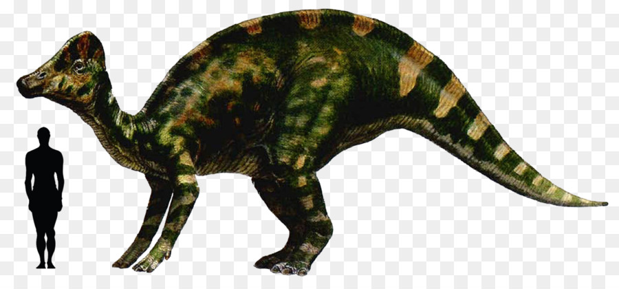 Hypacrosaurus，Abelisaurus PNG