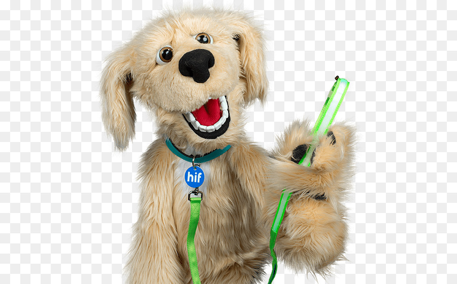 Golden Retriever，Filhote De Cachorro PNG