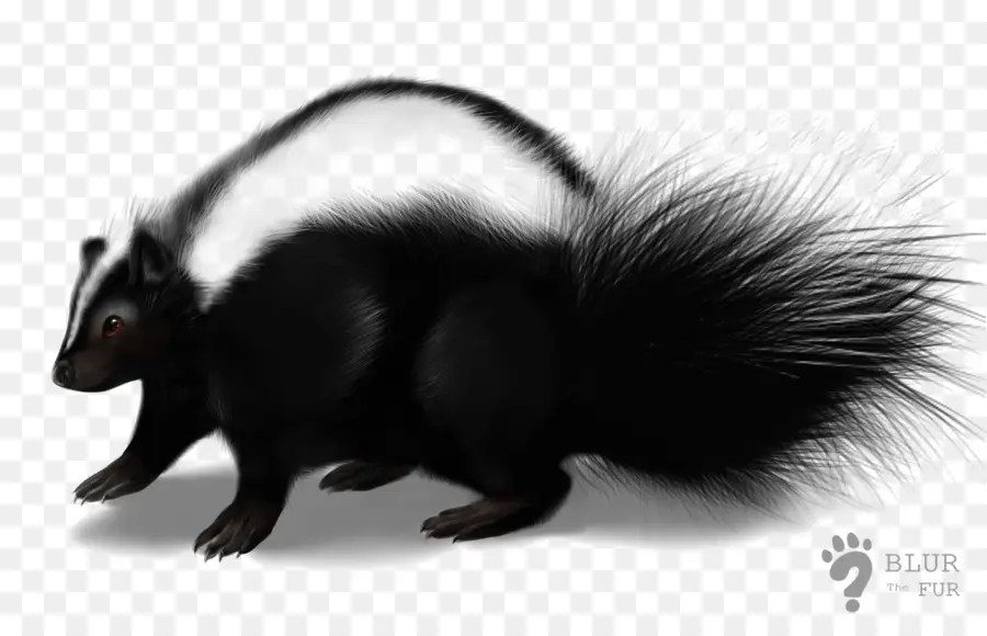 Skunk，ícones Do Computador PNG