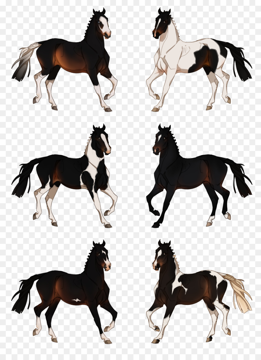 Cavalos，Correndo PNG