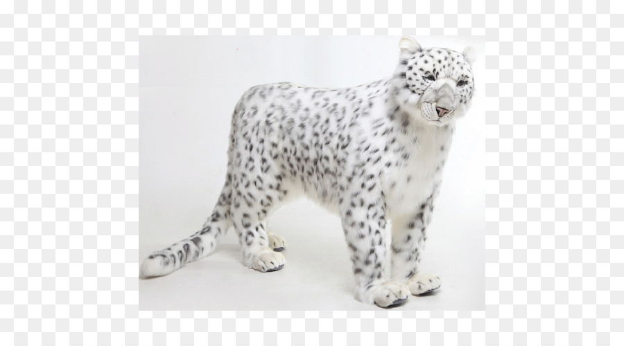 Leopard，O Snow Leopard PNG