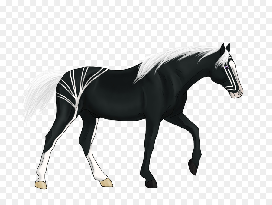 Cavalo，Equino PNG