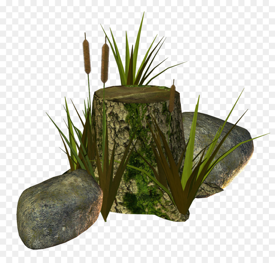 Flowerpot，Gramíneas PNG