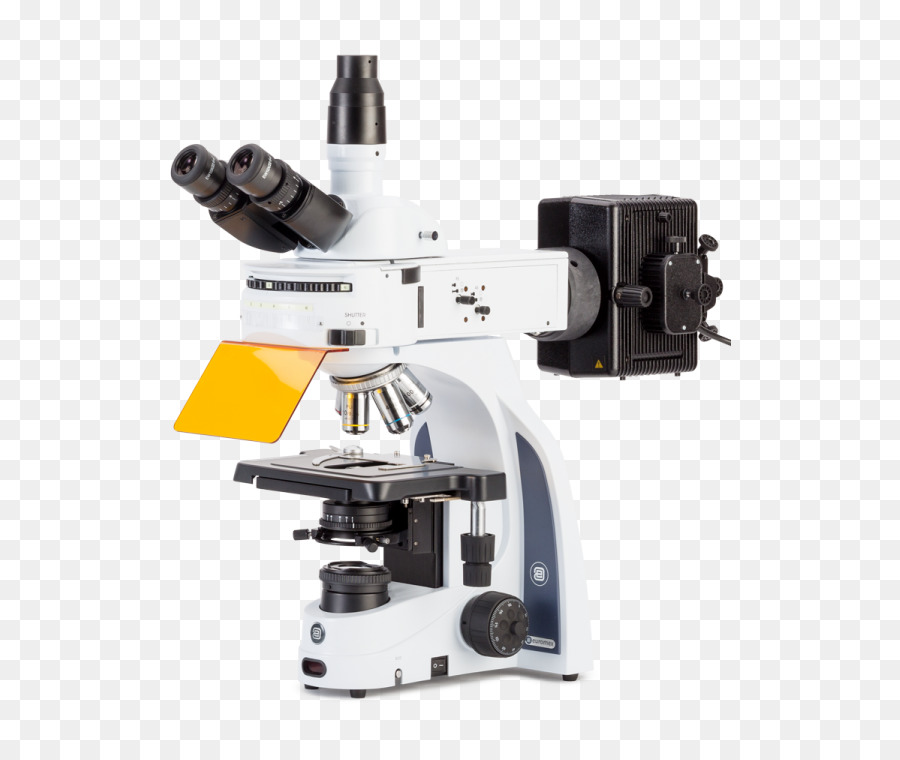 Microscópio De Fluorescência，Microscópio PNG