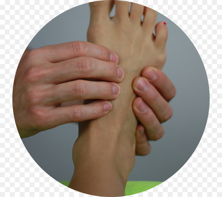 A Osteopatia，Terapia Manual PNG