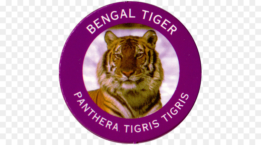 Tigre，Bigodes PNG