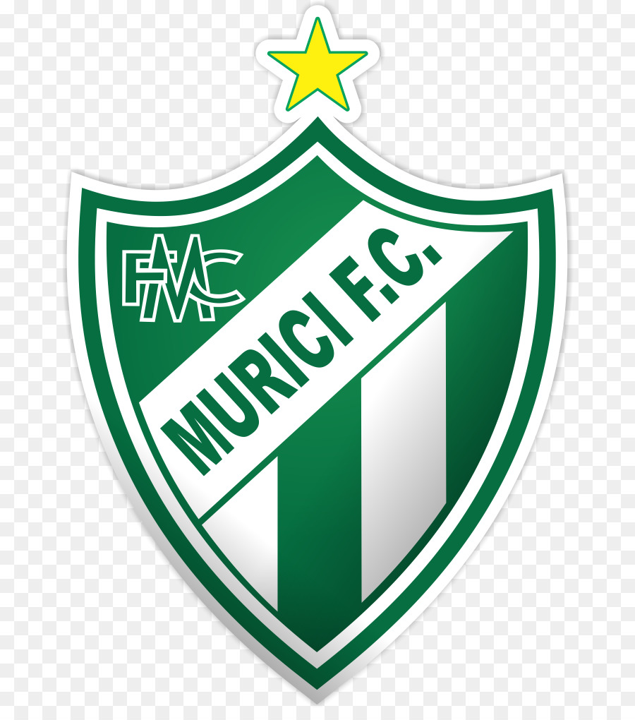 Clube Atlético Mineiro，Campeonato Brasileiro De Futebol PNG