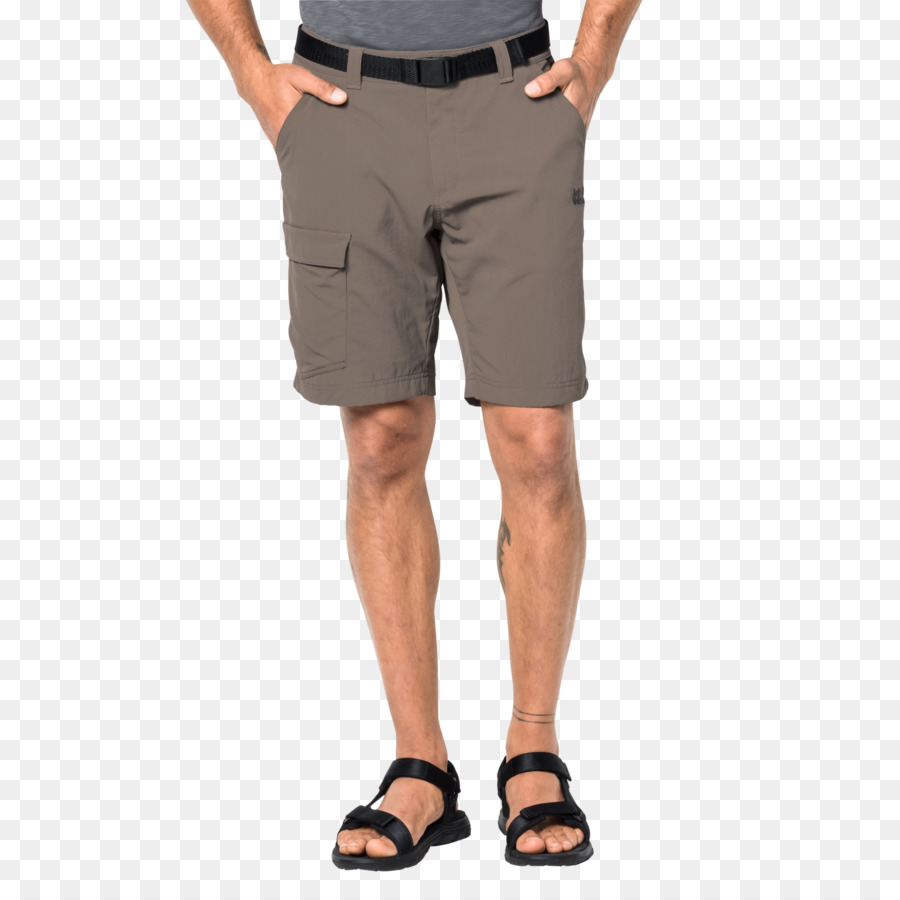 Shorts，Vestuário PNG