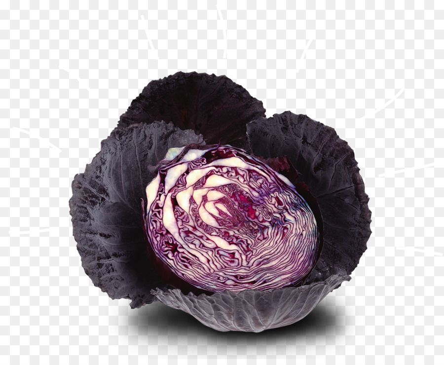 Vegetal，Stamppot PNG