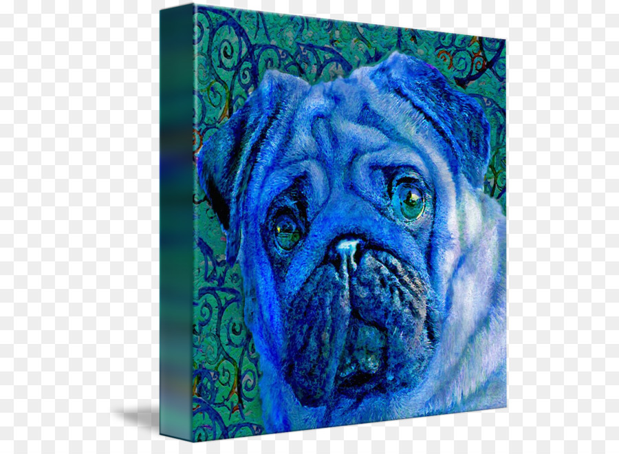 Pug，Imagekind PNG