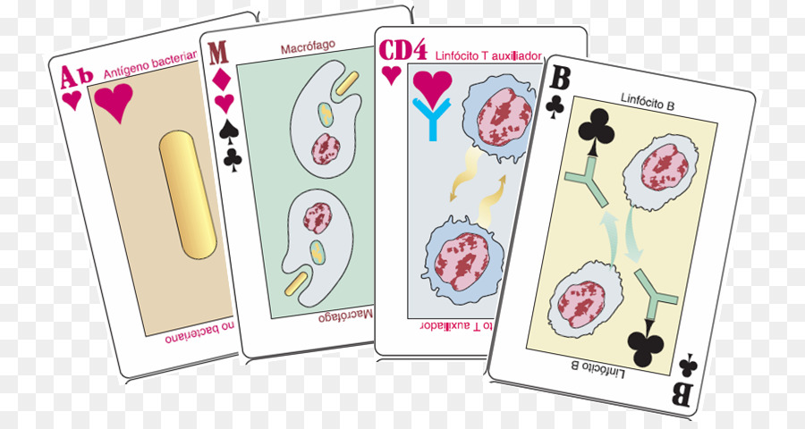 Papel，Card Game PNG